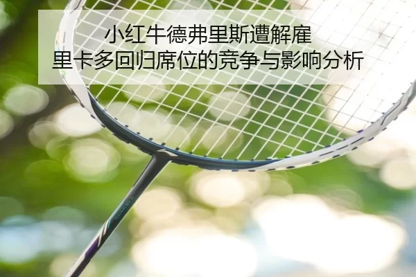xiao-hong-niu-de-fu-li-si-zao-jie-gu-li-ka-duo-hui-gui-xi-wei-de-jing-zheng-yu-ying-xiang-fen-xi-2-481.jpg