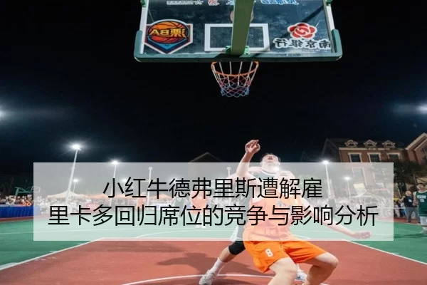 小红牛德弗里斯遭解雇 里卡多回归席位的竞争与影响分析